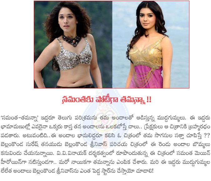 samantha vs tamanna,samantha in bellam kmonda son movie,samantha vs tamanna in bellam konda production,samantha and tamanna in bellamkonda srinivas movie,samantha and tamanna with bellamkonda srinivas,vv vinayak director  samantha vs tamanna, samantha in bellam kmonda son movie, samantha vs tamanna in bellam konda production, samantha and tamanna in bellamkonda srinivas movie, samantha and tamanna with bellamkonda srinivas, vv vinayak director